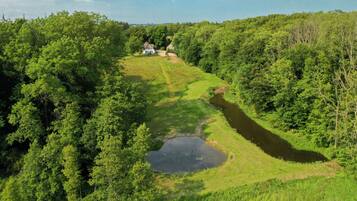 A house surrounded by dense forest with a small pond and a river.