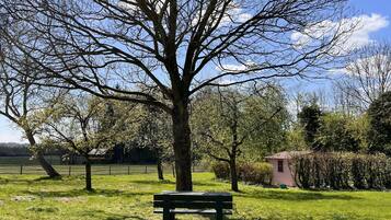En park med ett stort träd, en bänk och en liten byggnad i bakgrunden.
