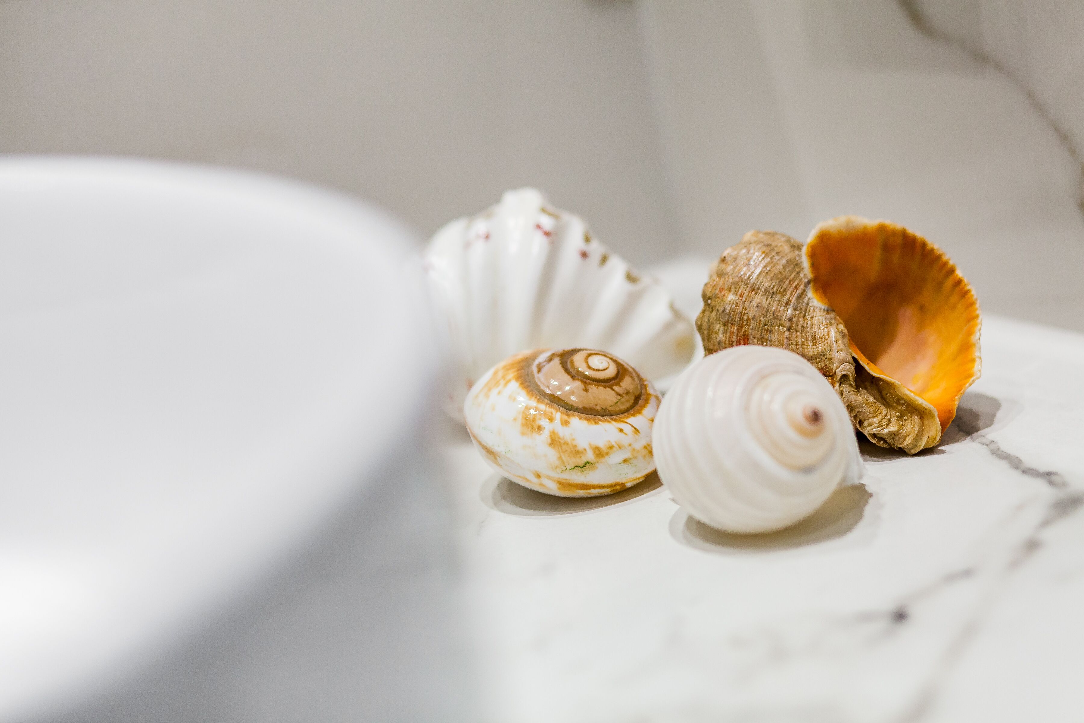 Drei Muscheln auf einer weißen Marmorplatte.
