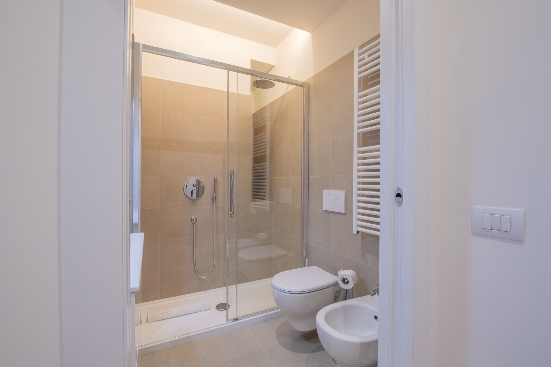 Shower, hair dryer, bidet, towels