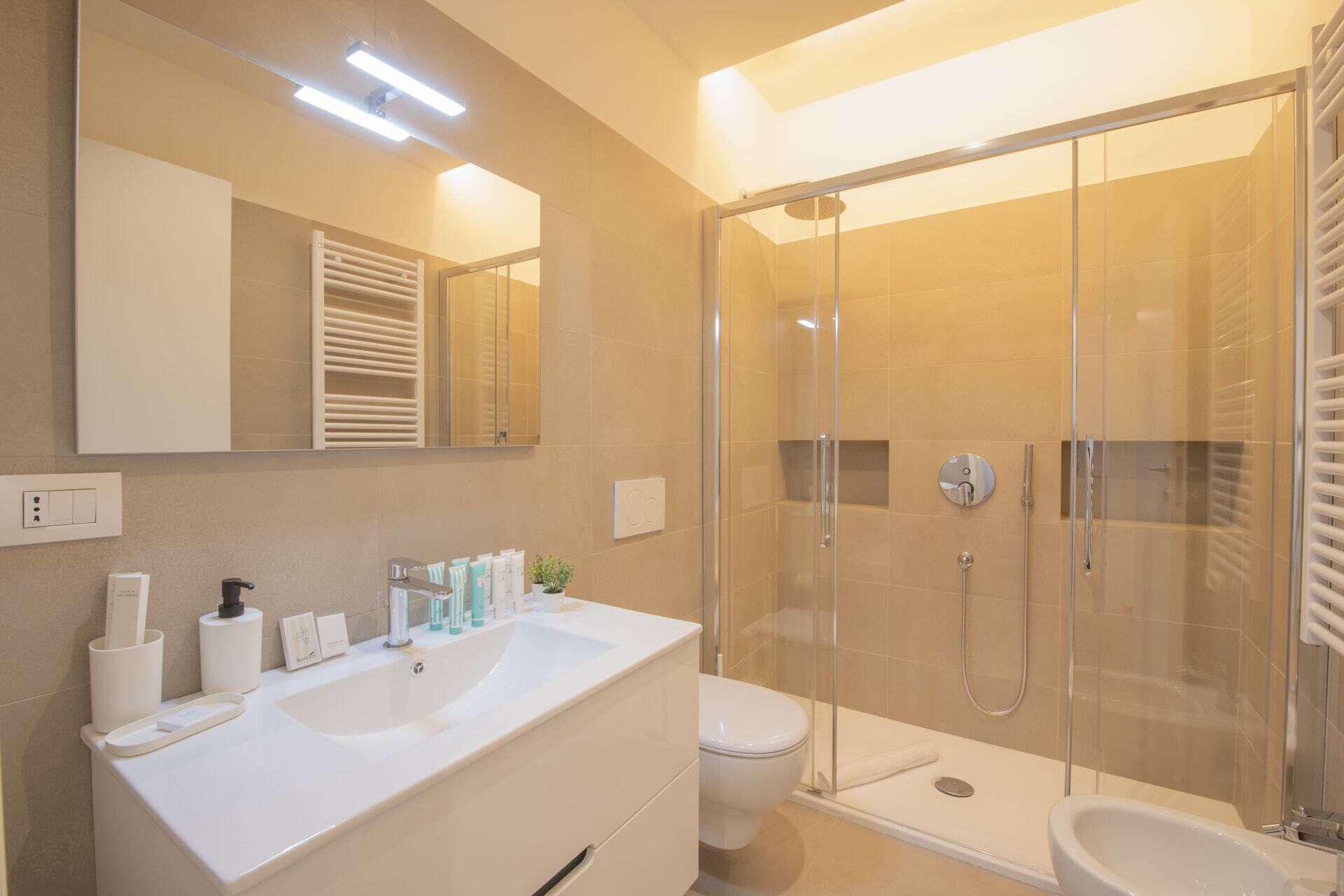 Shower, hair dryer, bidet, towels
