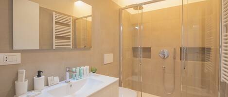 Shower, hair dryer, bidet, towels