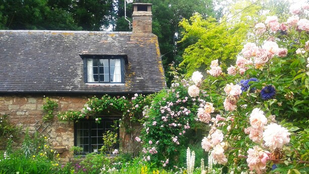 A stone cottage with a window and a garden with various flowers. - Saint Pancras Chapel (Watchet)