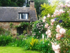 Une petite maison en pierre avec une fenêtre et un jardin où poussent différentes sortes de fleurs.