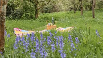 A picnic setup with a blanket and a thermos in a grassy area with trees and purple flowers.
