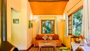 A cozy living room with a sofa, coffee table, and a fireplace. - Amadamata Refúgio Ecológico (Nova Friburgo)