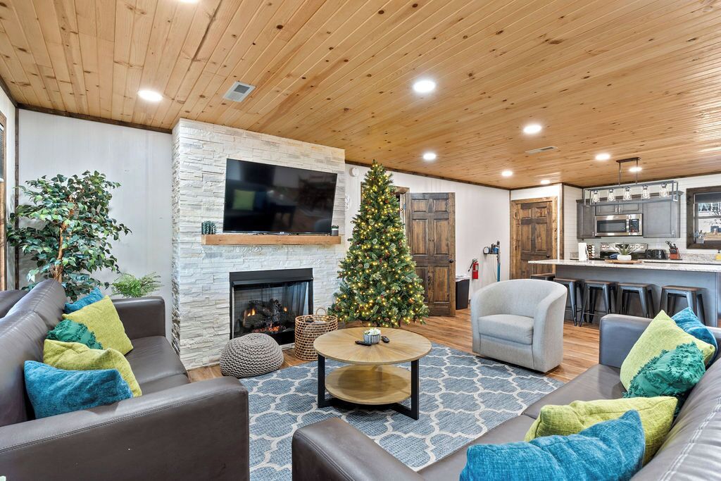 智能電視、壁爐、書籍、音響