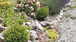 A garden with various plants and a blue decorative object. - Vacation apartment "3 Seen" with garden, near Illmensee and Lake Constance (Illmensee)