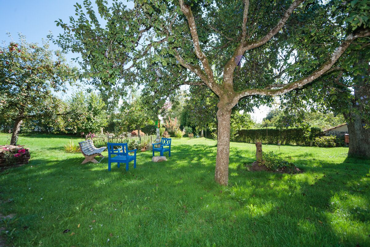 A garden with a large tree, two blue chairs, and a small table.