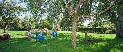 A garden with a large tree, two blue chairs, and a small table.