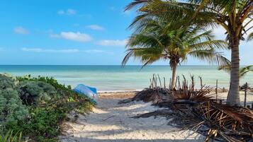Plage à proximité, chaises longues, serviettes de plage