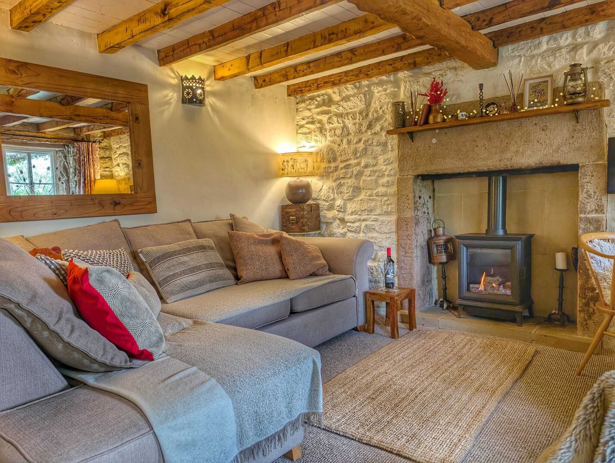 Smart TV, fireplace, DVD player, books