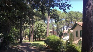 A pathway leading through a wooded area with trees and a building with a red-tiled roof.