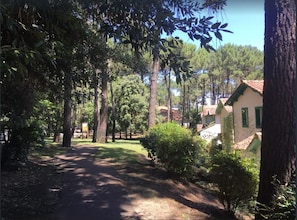 A pathway leading through a wooded area with trees and a building with a red-tiled roof. - Nice house in residence with large swimming pool (Lacanau)