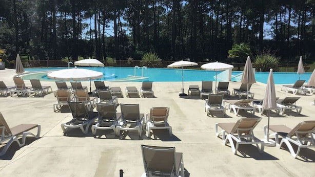 A poolside area with lounge chairs and umbrellas, surrounded by trees.