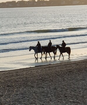 A beach scene with three people riding horses along the shoreline.