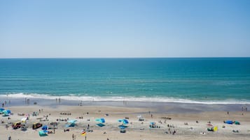 Playa en los alrededores y camastros