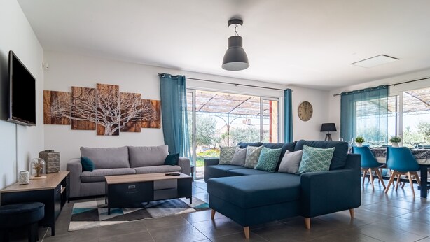 A modern living room with a grey sofa, a blue sofa, a coffee table, and a TV. There are large windows with curtains, a dining area with blue chairs, and a ceiling light.