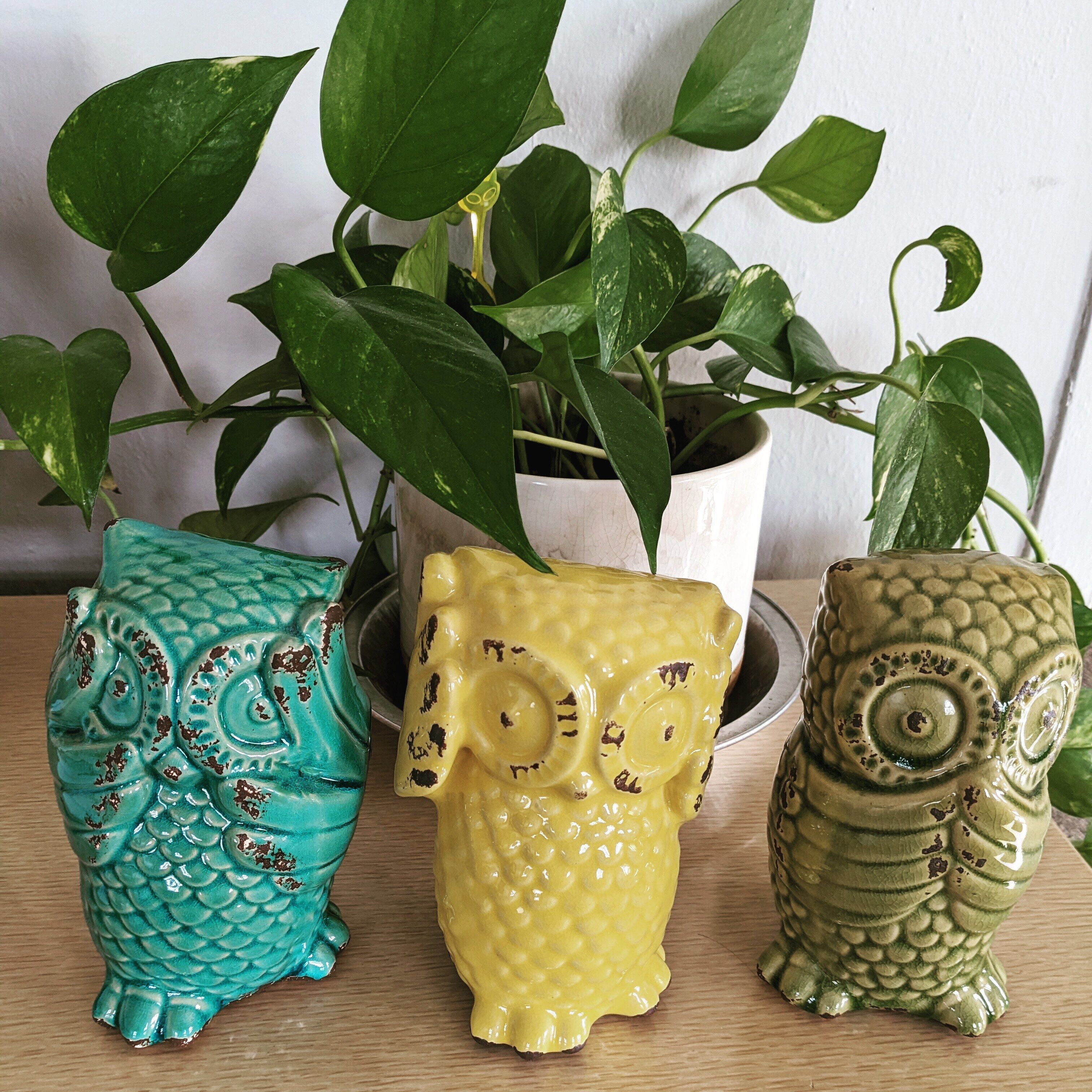 Trois vases en céramique représentant des hiboux, de couleurs différentes, sont disposés sur une surface en bois.