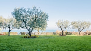 En græsplæde med tre træer og frit kig til havet.