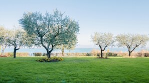 Appartamento | 1 camera