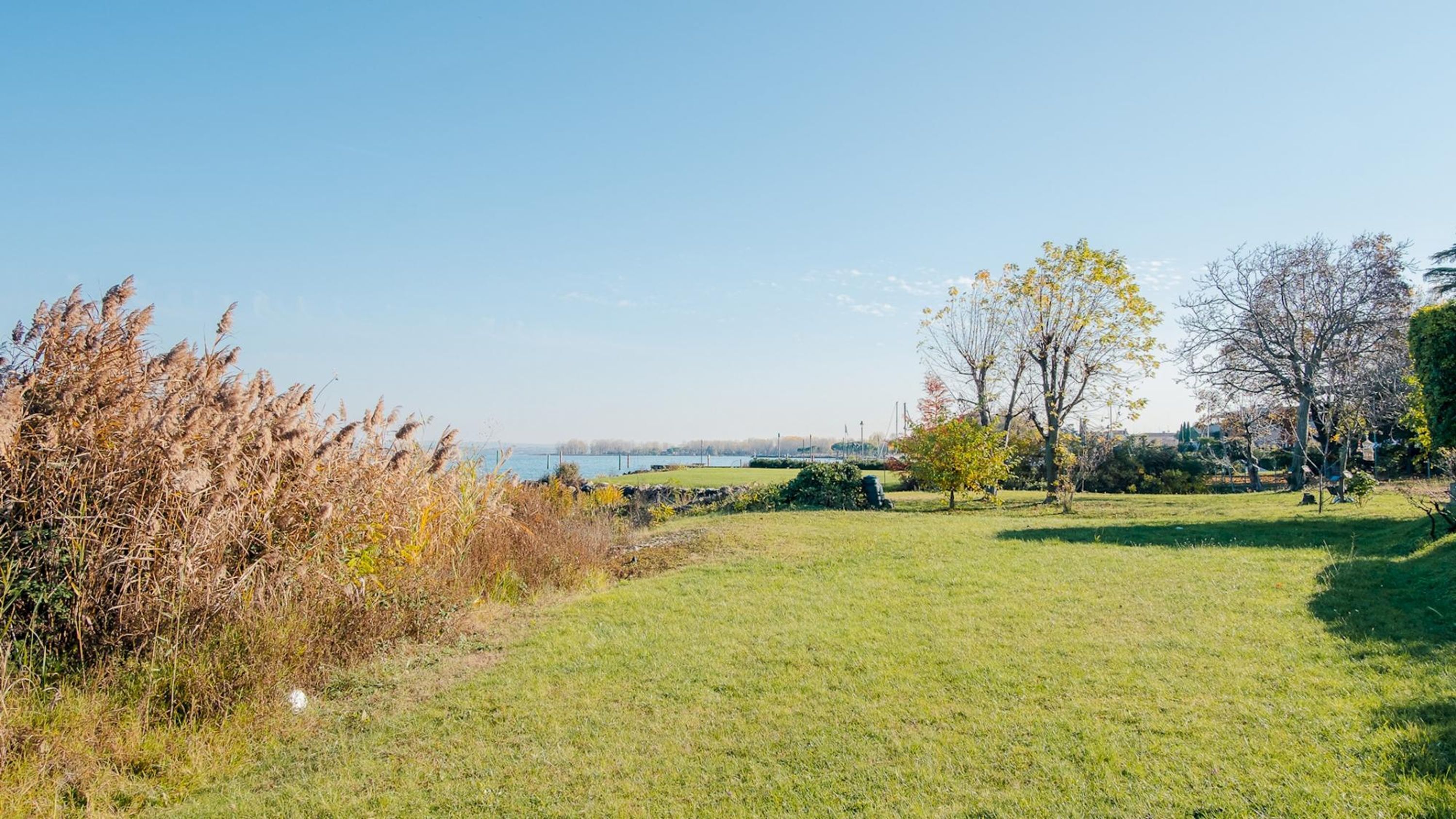 A grassy park area with trees and a view of a body of water.