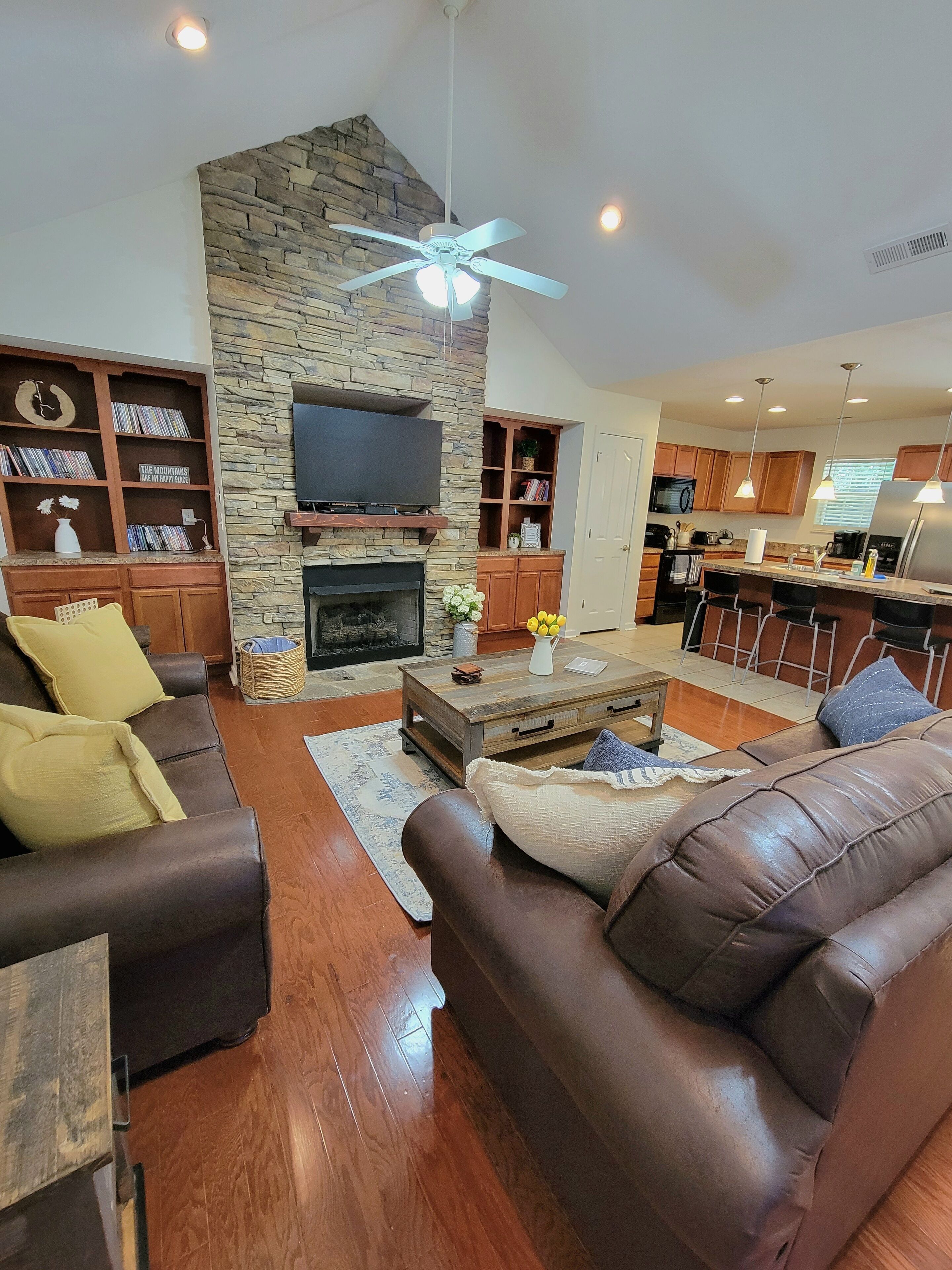 Smart TV, fireplace, DVD player, books