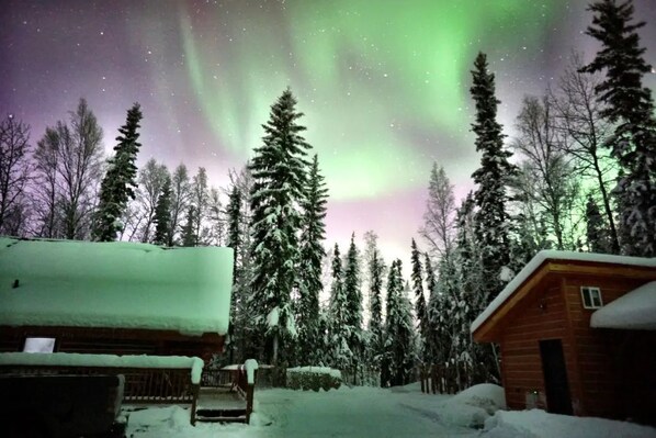 A cabin surrounded by snow-covered trees under a night sky with the aurora borealis.