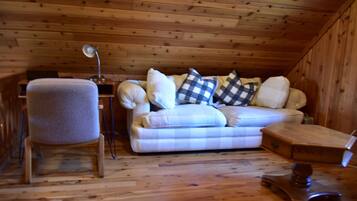 TV connectée, cheminée, livres, écrans d'ordinateur