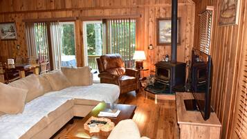 Smart TV, fireplace, books, computer monitors