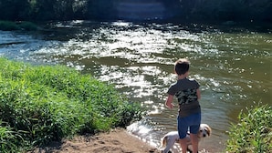 A child playing by a river with a dog, surrounded by greenery and trees.
