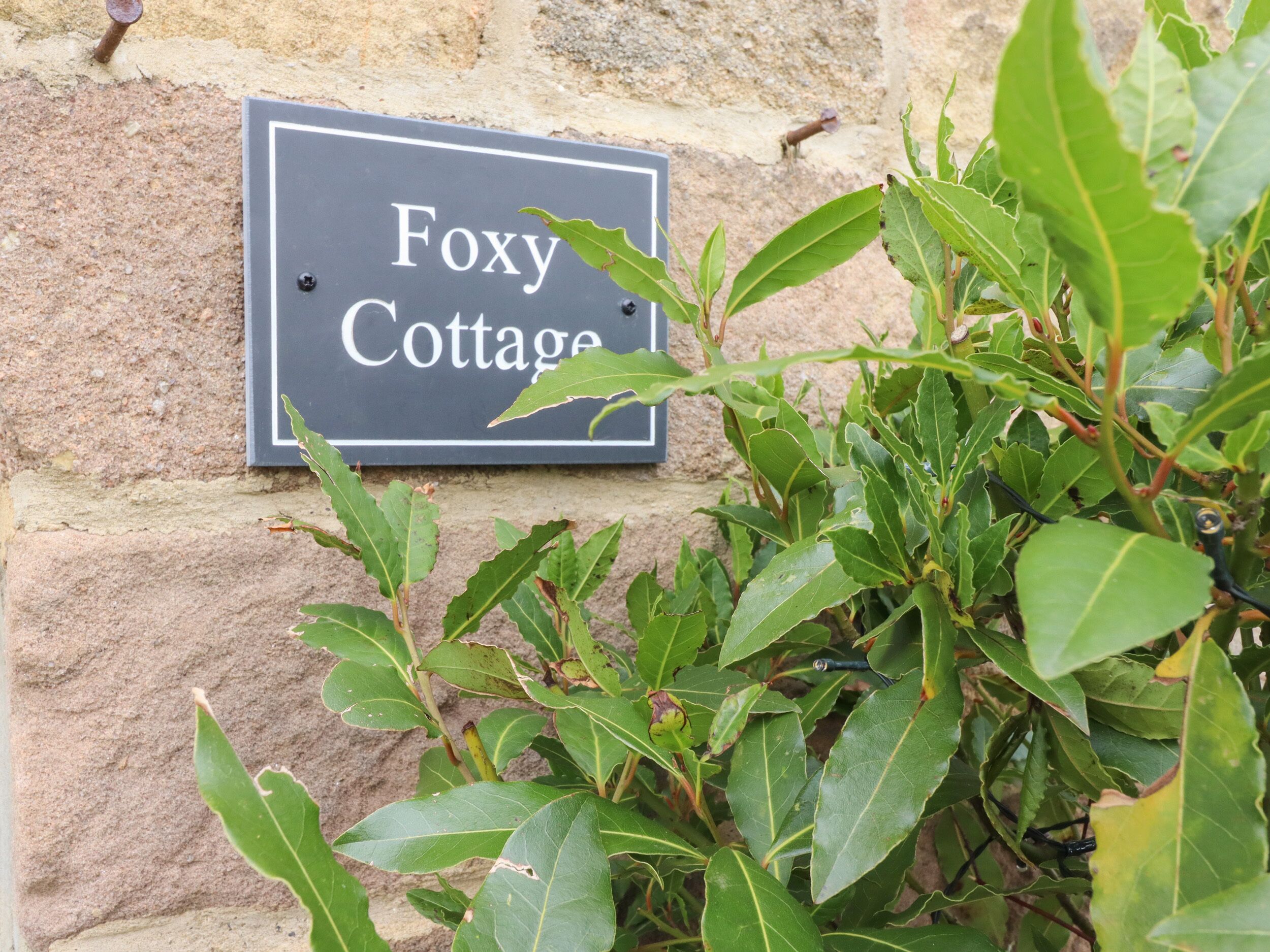 A sign for 'Foxy Cottage' mounted on a stone wall.