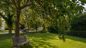 Ein Park mit einer Bank, Bäumen und einem Zaun.