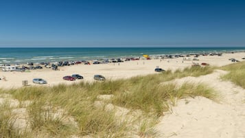 Playa en los alrededores, camastros y toallas de playa