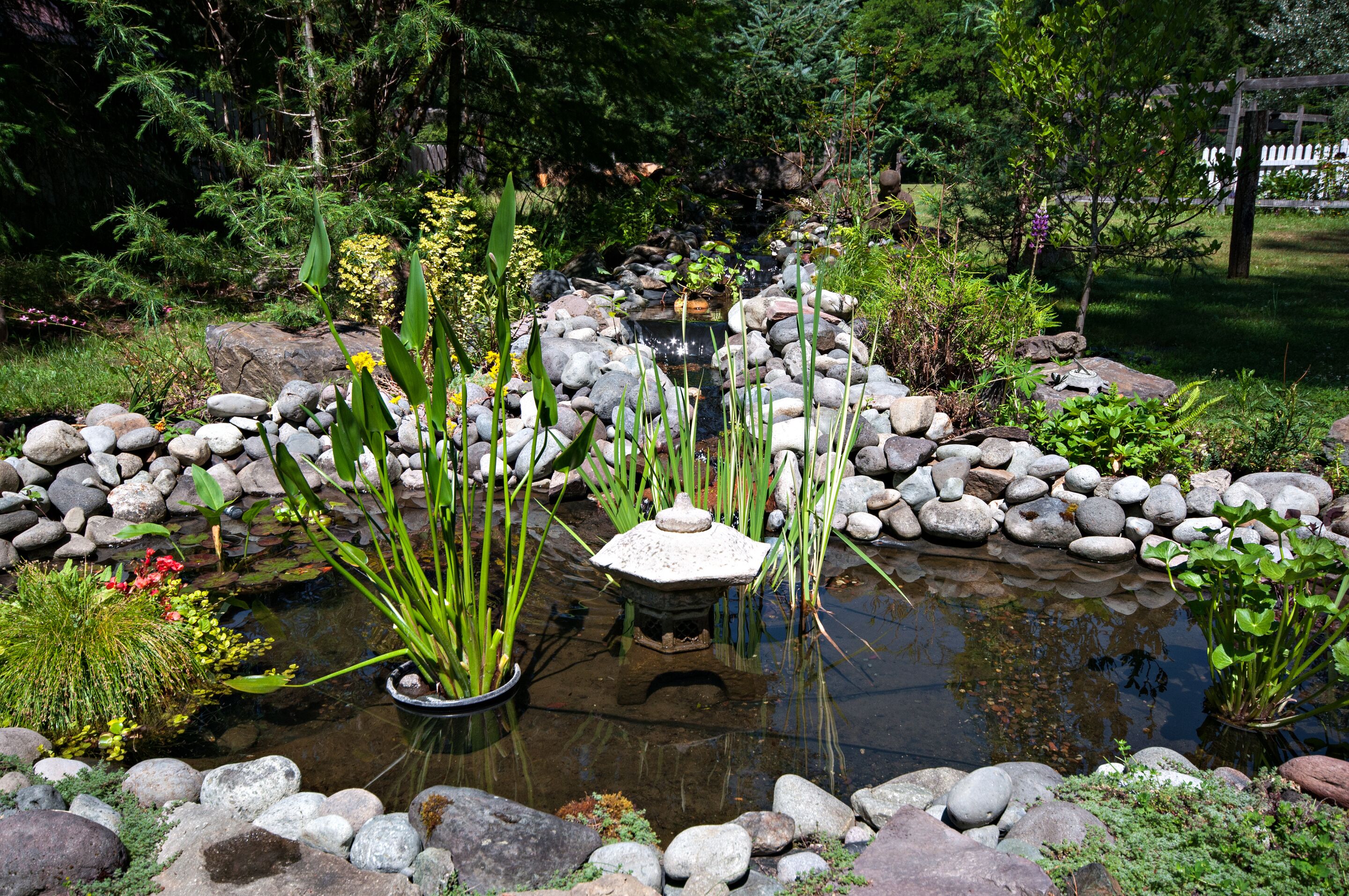 Um jardim com lago, pedras e diversas plantas.