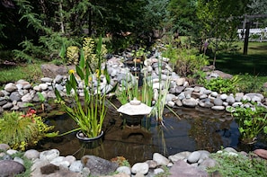A garden with a pond, rocks, and various plants.