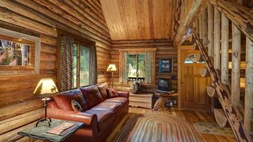 Televisio, DVD-soitin, kirjoja, videokirjasto