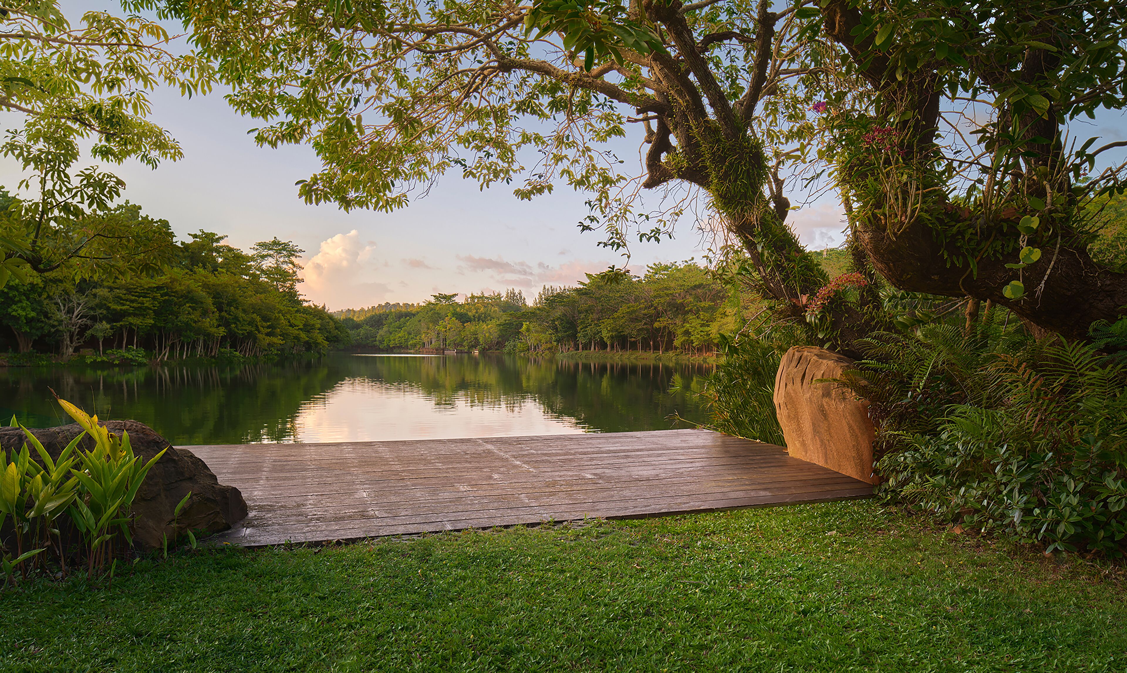 A wooden deck leading to a calm lake surrounded by lush greenery and trees.