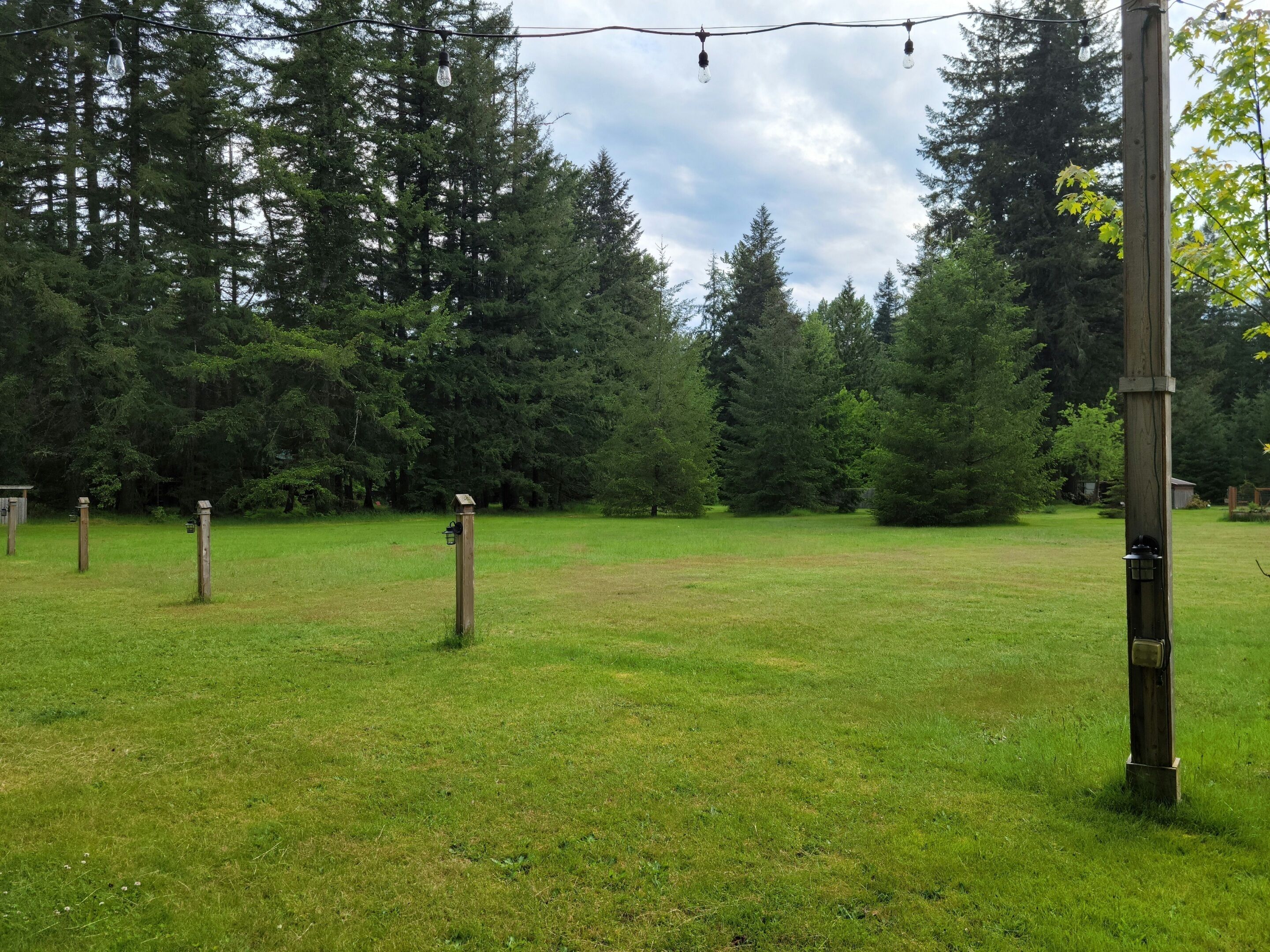 Un campo erboso con alberi e un palo di legno con un lampadario.