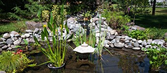 The Farmhouse on 8 acres