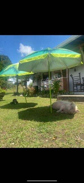 Jardines del alojamiento