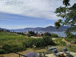A vineyard with a patio area featuring outdoor seating. - Modesta Winery Guest House (Naramata)