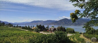 Modesta Winery Guest House