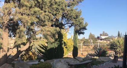 Cozy Cabin with unforgettable patios