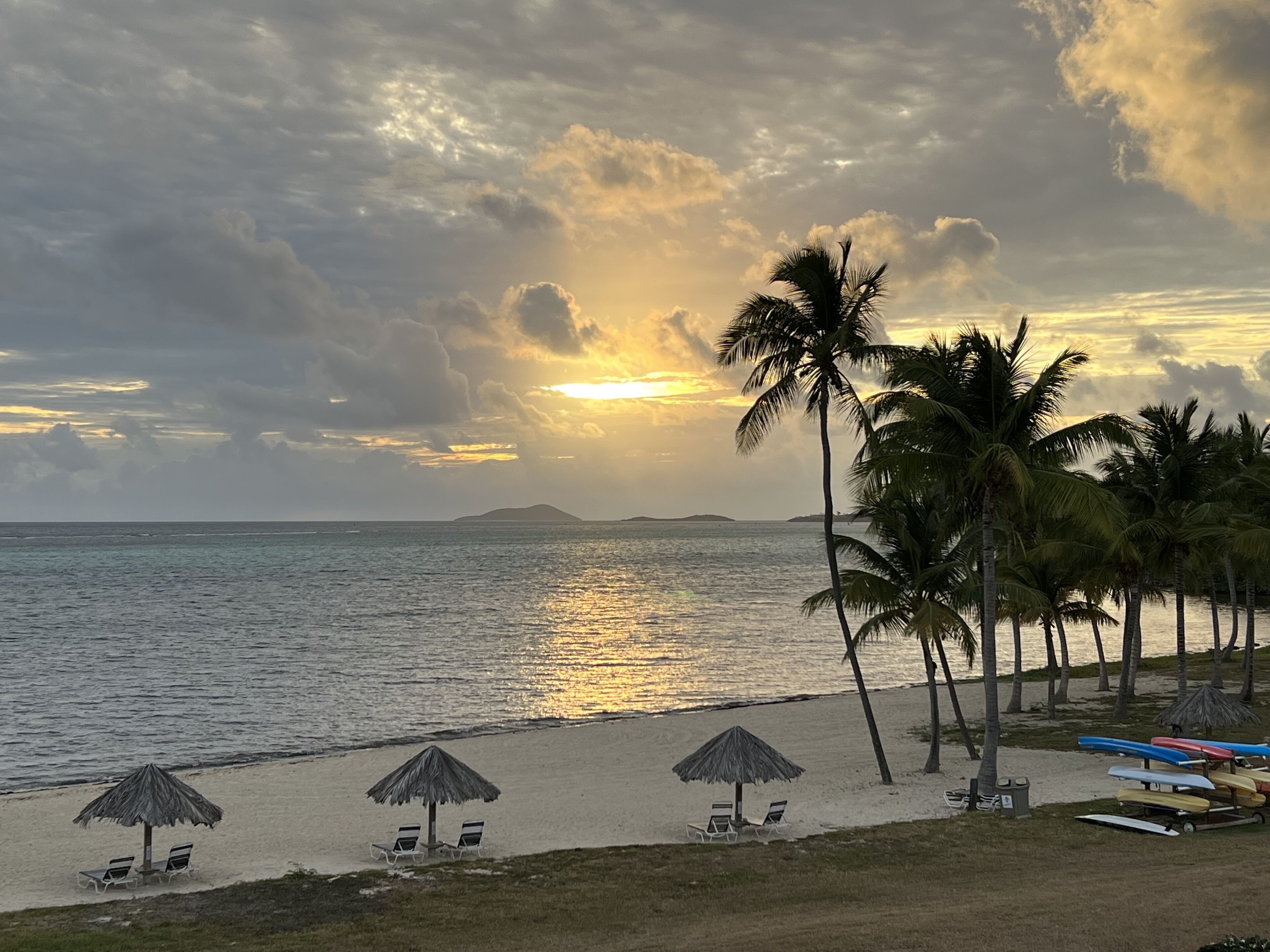 Une plage bordée de palmiers, un coucher de soleil et une mer calme.