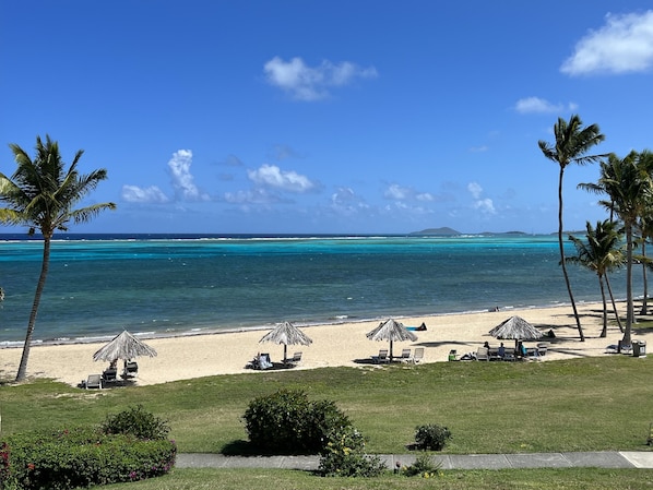 A beach with clear turquoise water, palm trees, and a grassy area with lounge chairs and umbrellas.