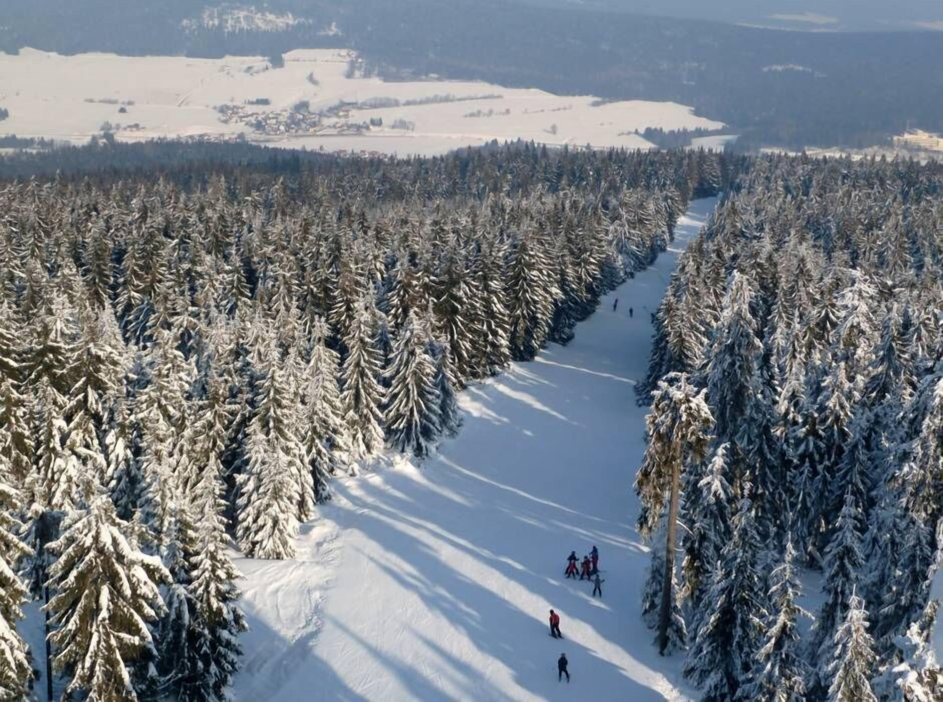 Schneebedeckte Landschaft mit einer Skipiste, umgeben von dichten immergrünen Bäumen.