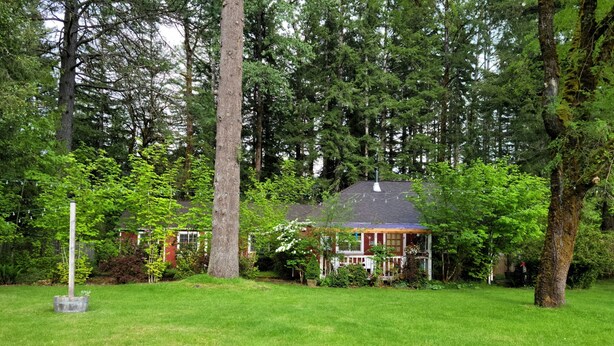 A house surrounded by a lush green lawn and tall trees.
