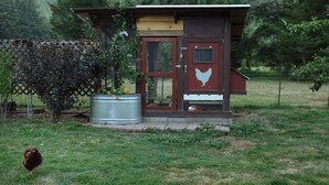 Une petite construction à un seul étage, dotée d’une porte et d’une fenêtre, entourée d’une zone délimitée par une clôture et de verdure.