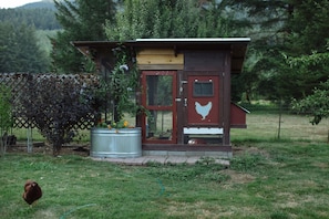 Property grounds - The Cedar Cabin on 8 acres (Packwood)